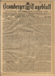 Bromberger Tageblatt. J. 28, 1904, nr 291