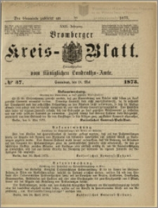 Bromberger Kreis-Blatt, 1873, nr 37