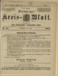 Bromberger Kreis-Blatt, 1873, nr 46