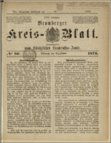 Bromberger Kreis-Blatt, 1873, nr 86