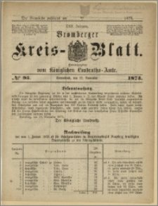 Bromberger Kreis-Blatt, 1873, nr 93