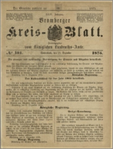 Bromberger Kreis-Blatt, 1875, nr 101