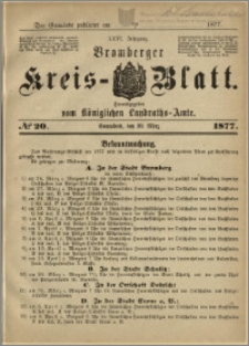 Deutsche Rundschau in Polen. J. 47, 1923, nr 20