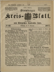 Deutsche Rundschau in Polen. J. 47, 1923, nr 91