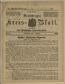 Bromberger Kreis-Blatt, 1880, nr 11