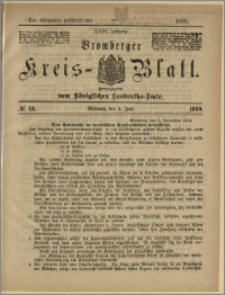 Bromberger Kreis-Blatt, 1880, nr 44