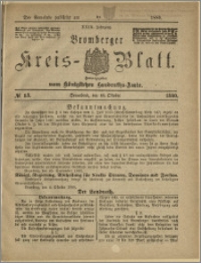 Bromberger Kreis-Blatt, 1880, nr 83