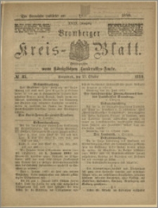 Bromberger Kreis-Blatt, 1880, nr 85