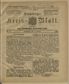 Bromberger Kreis-Blatt, 1881, nr 15