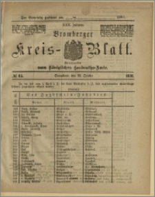 Bromberger Kreis-Blatt, 1881, nr 85