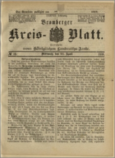 Bromberger Kreis-Blatt, 1889, nr 33