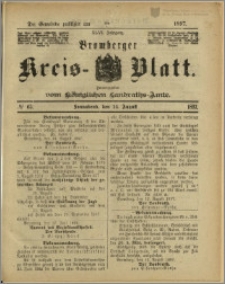 Bromberger Kreis-Blatt, 1897, nr 65