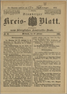 Bromberger Kreis-Blatt, 1901, nr 13