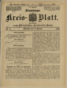 Bromberger Kreis-Blatt, 1902, nr 13