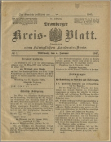 Bromberger Kreis-Blatt, 1905, nr 1