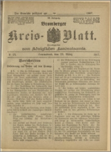 Bromberger Kreis-Blatt, 1907, nr 24