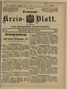 Bromberger Kreis-Blatt, 1910, nr 85