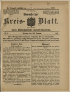 Bromberger Kreis-Blatt, 1917, nr 8