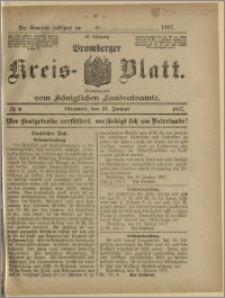 Bromberger Kreis-Blatt, 1917, nr 9