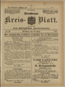 Bromberger Kreis-Blatt, 1917, nr 29
