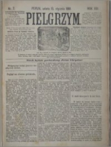 Pielgrzym, pismo religijne dla ludu 1881 nr 7