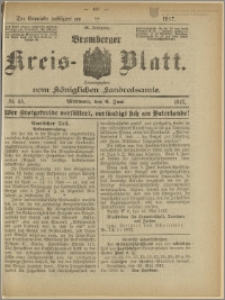 Bromberger Kreis-Blatt, 1917, nr 45