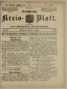 Bromberger Kreis-Blatt, 1917, nr 65