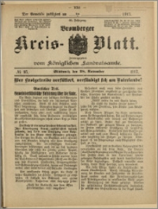 Bromberger Kreis-Blatt, 1917, nr 95