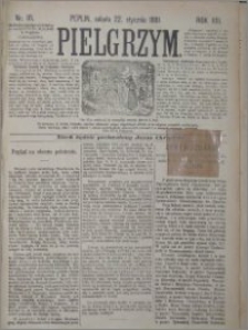 Pielgrzym, pismo religijne dla ludu 1881 nr 10