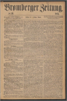 Bromberger Zeitung, 1873, nr 32