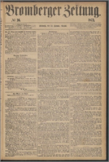 Bromberger Zeitung, 1873, nr 36