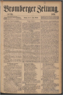 Bromberger Zeitung, 1876, nr 134