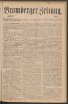 Bromberger Zeitung, 1876, nr 265