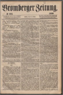 Bromberger Zeitung, 1880, nr 295