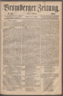 Bromberger Zeitung, 1881, nr 45