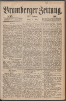 Bromberger Zeitung, 1881, nr 65
