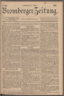Bromberger Zeitung, 1882, nr 282