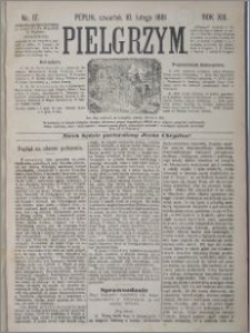 Pielgrzym, pismo religijne dla ludu 1881 nr 17