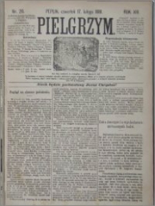 Pielgrzym, pismo religijne dla ludu 1881 nr 20