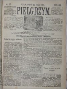 Pielgrzym, pismo religijne dla ludu 1881 nr 22