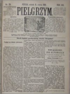 Pielgrzym, pismo religijne dla ludu 1881 nr 28