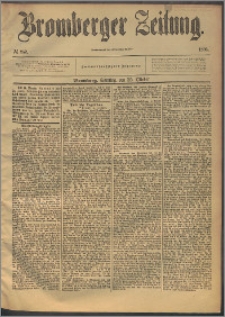 Bromberger Zeitung, 1896, nr 252