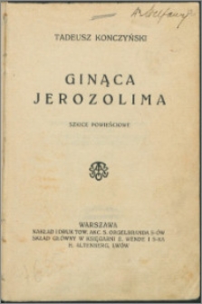 Ginąca Jerozolima : szkice powieściowe