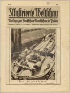 Illustrierte Weltschau, 1929, nr 43