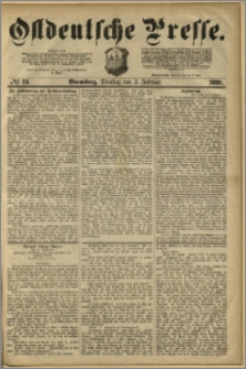 Ostdeutsche Presse. J. 4, 1880, nr 33