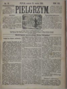 Pielgrzym, pismo religijne dla ludu 1881 nr 31