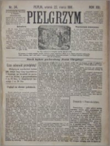 Pielgrzym, pismo religijne dla ludu 1881 nr 34