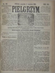 Pielgrzym, pismo religijne dla ludu 1881 nr 40