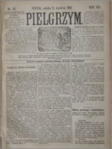 Pielgrzym, pismo religijne dla ludu 1881 nr 41