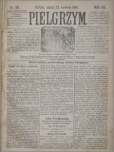 Pielgrzym, pismo religijne dla ludu 1881 nr 46